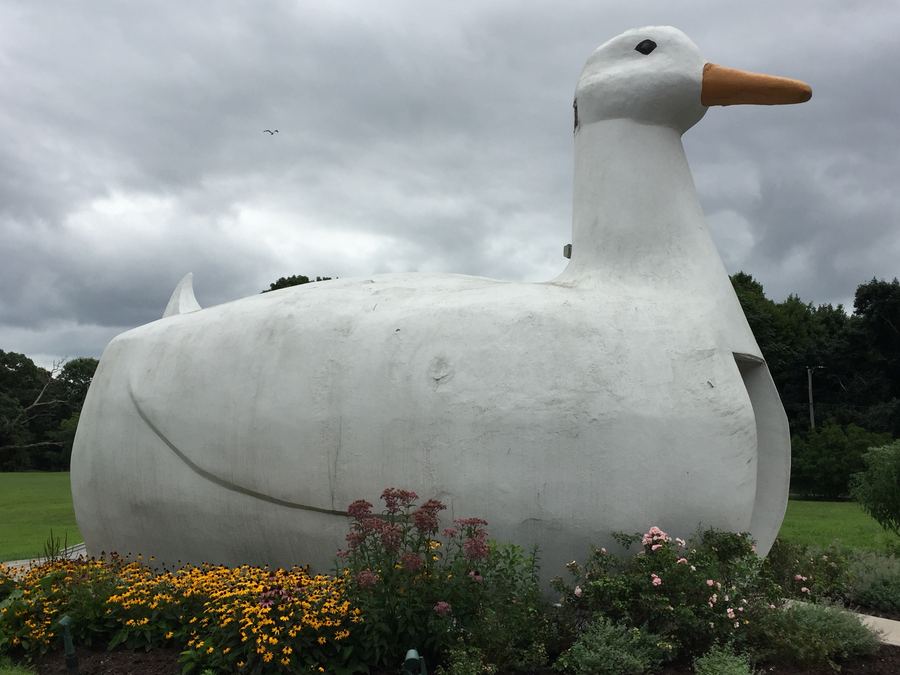 The Big Duck