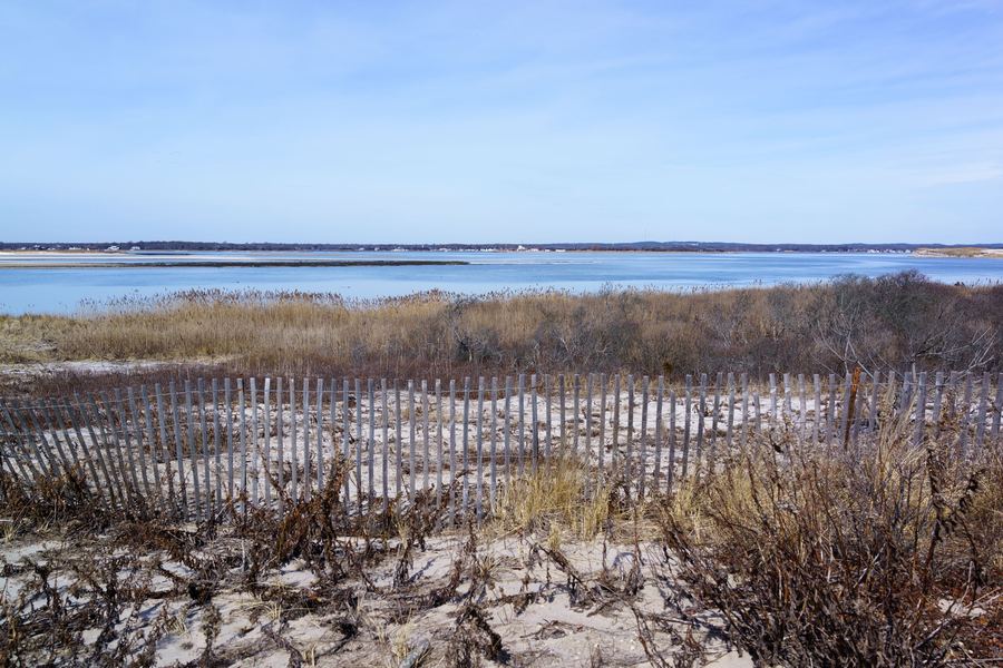 Cupsogue Beach County Park