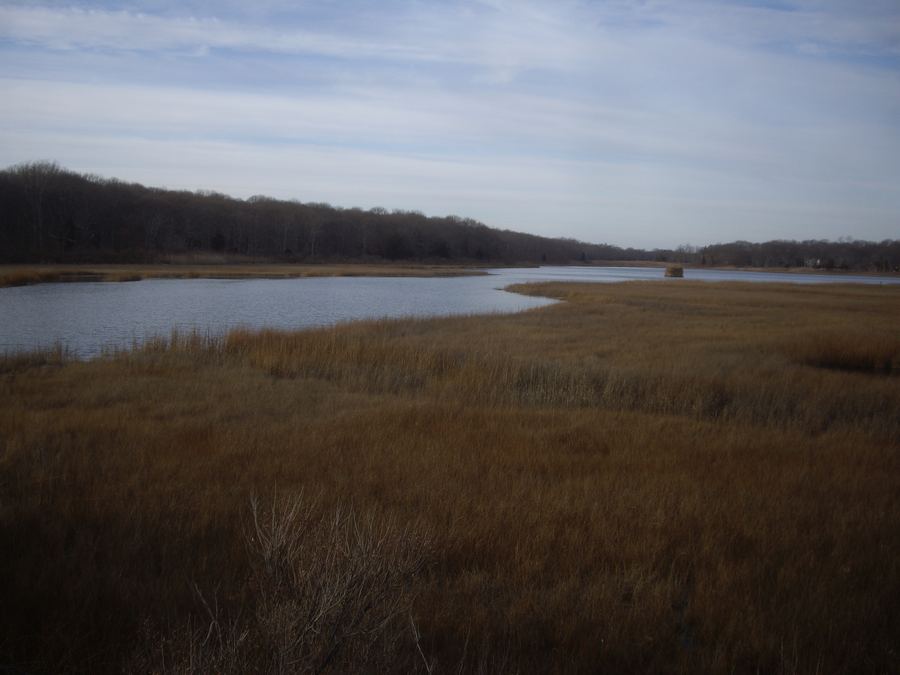 Downs Farm Preserve & Fort Corchaug