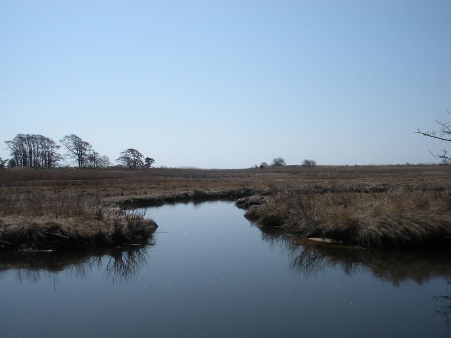 Camping at Heckscher