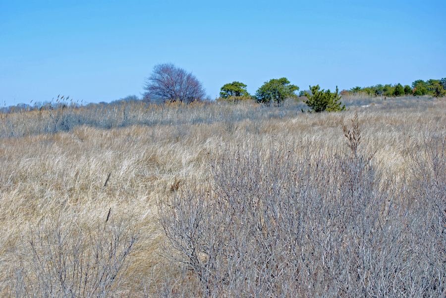 Heckscher State Park