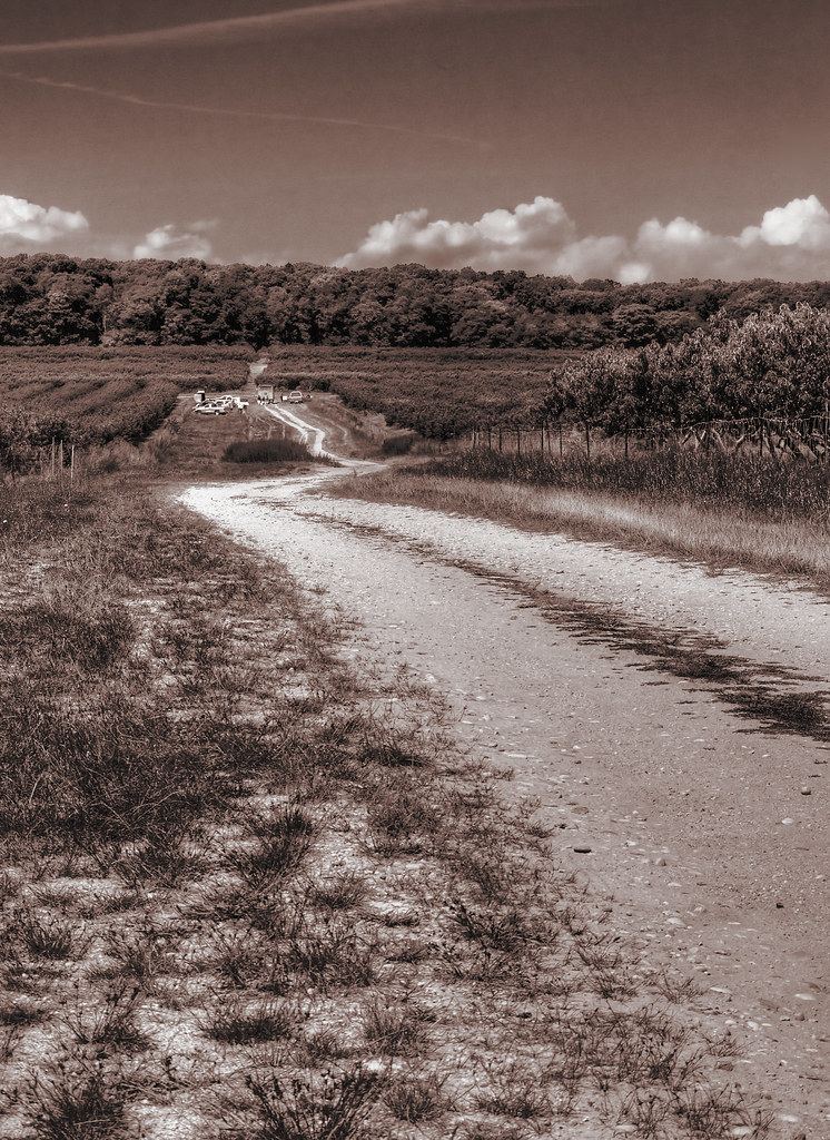 Lewin Farms
