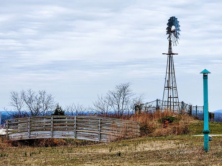Norman J. Levy Park & Preserve