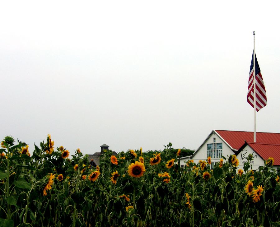 Pindar Vineyards