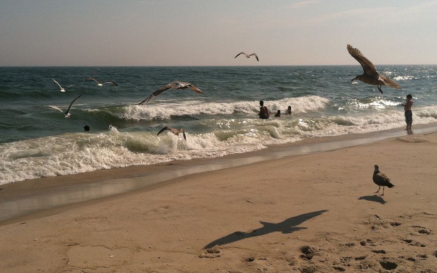 Robert Moses State Park