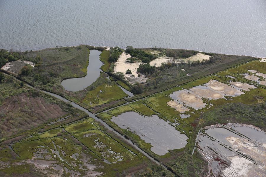 Seatuck Environmental Center