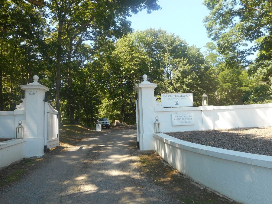 Sylvester Manor Educational Farm